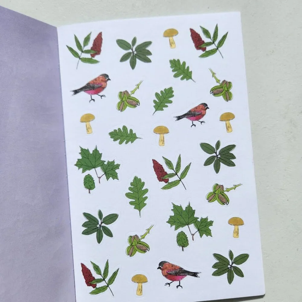 Nature Anatomy Sticker Book Julia Rothman 750 Stickers birds, feathers, wildflow